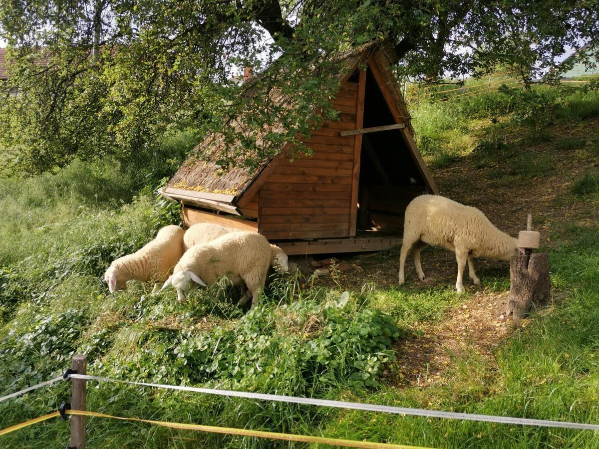 Camping Silva Ljutomer Zewnętrze zdjęcie