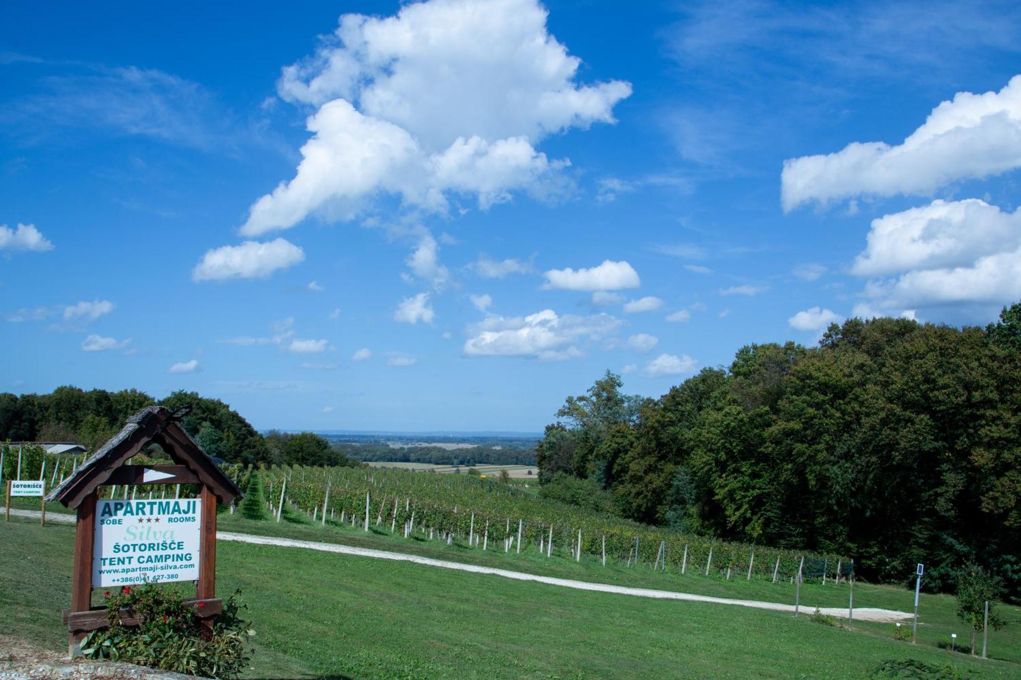 Camping Silva Ljutomer Zewnętrze zdjęcie